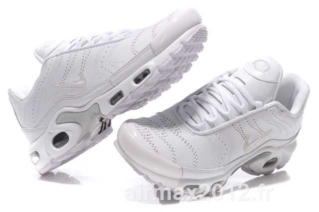 tn requin blanche