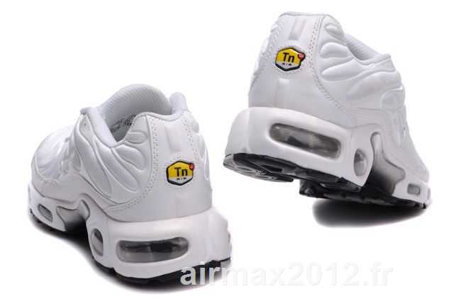 basket requin tn